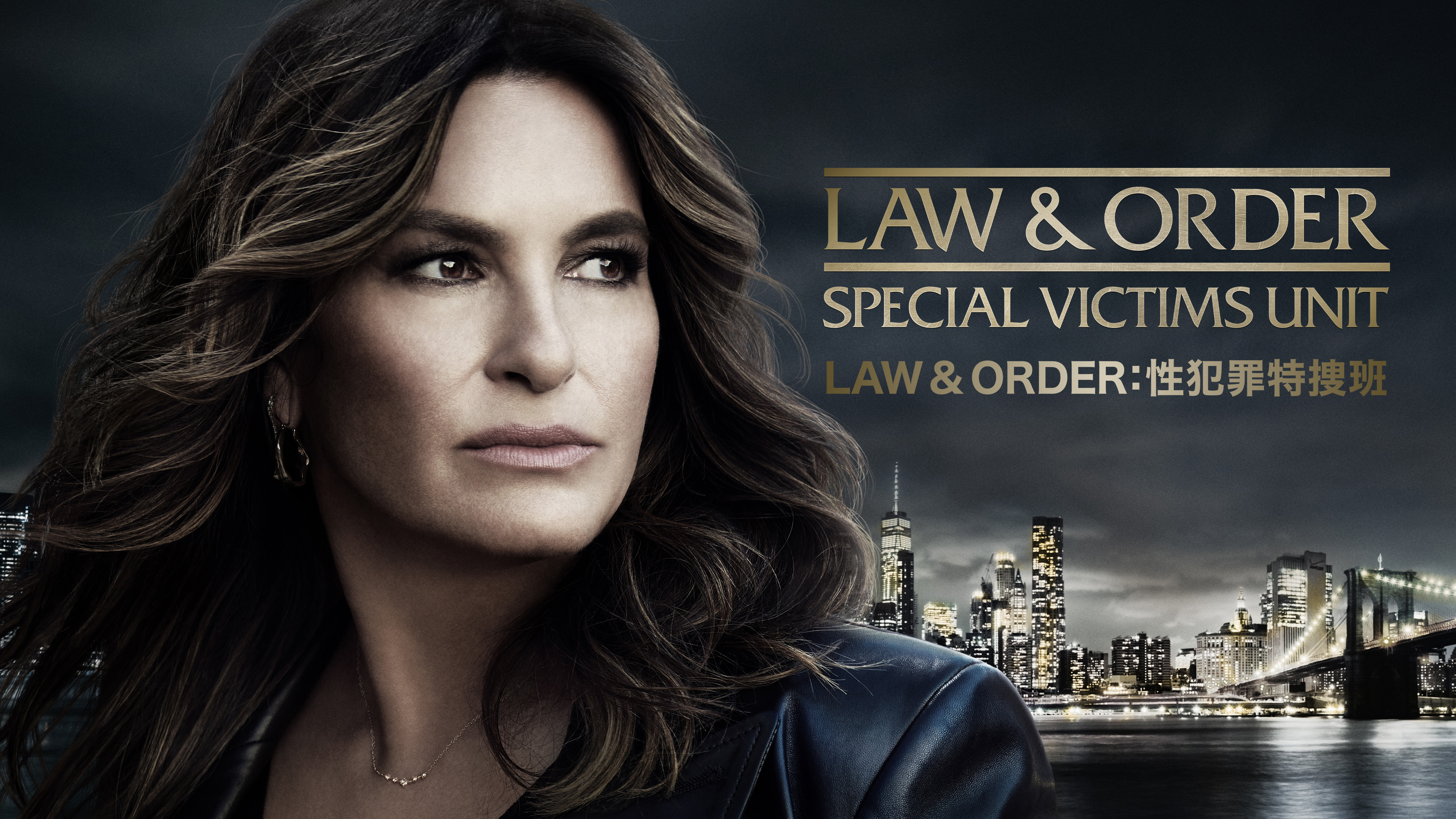 LAW & ORDER：性犯罪特捜班 | Hulu(フールー)