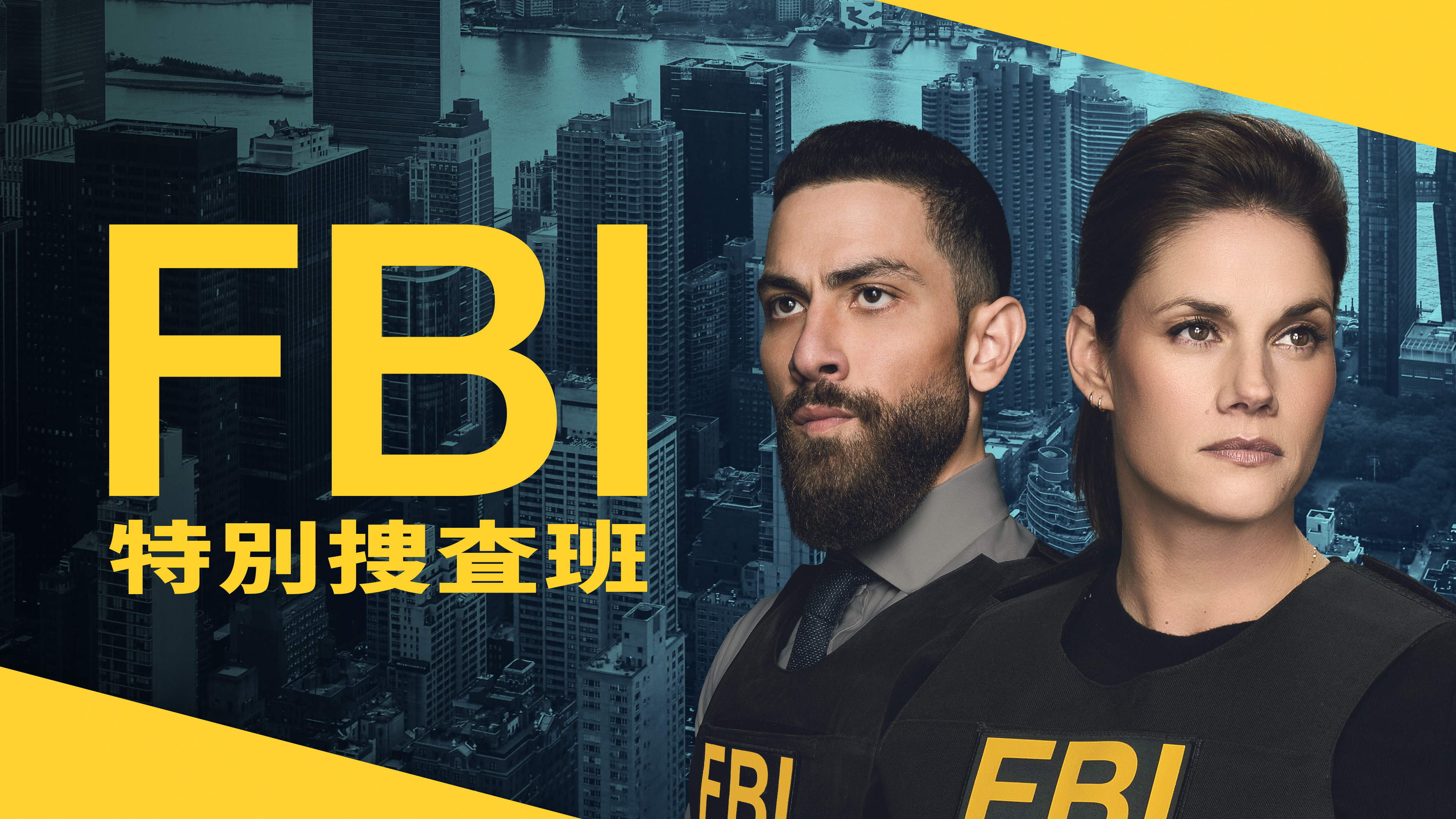 FBI：特別捜査班 | Hulu(フールー)