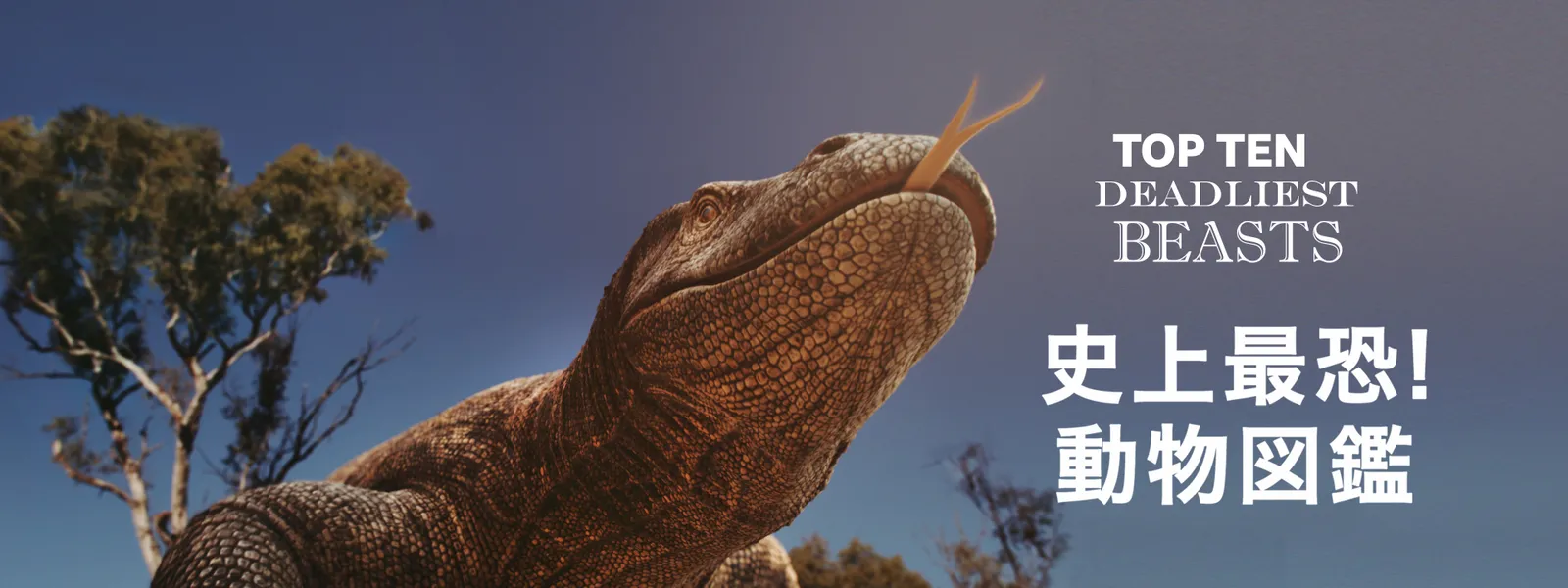 史上最恐 動物図鑑 が見放題 Hulu フールー お試し無料 史上最恐 動物図鑑 が見放題 Hulu フールー お試し無料