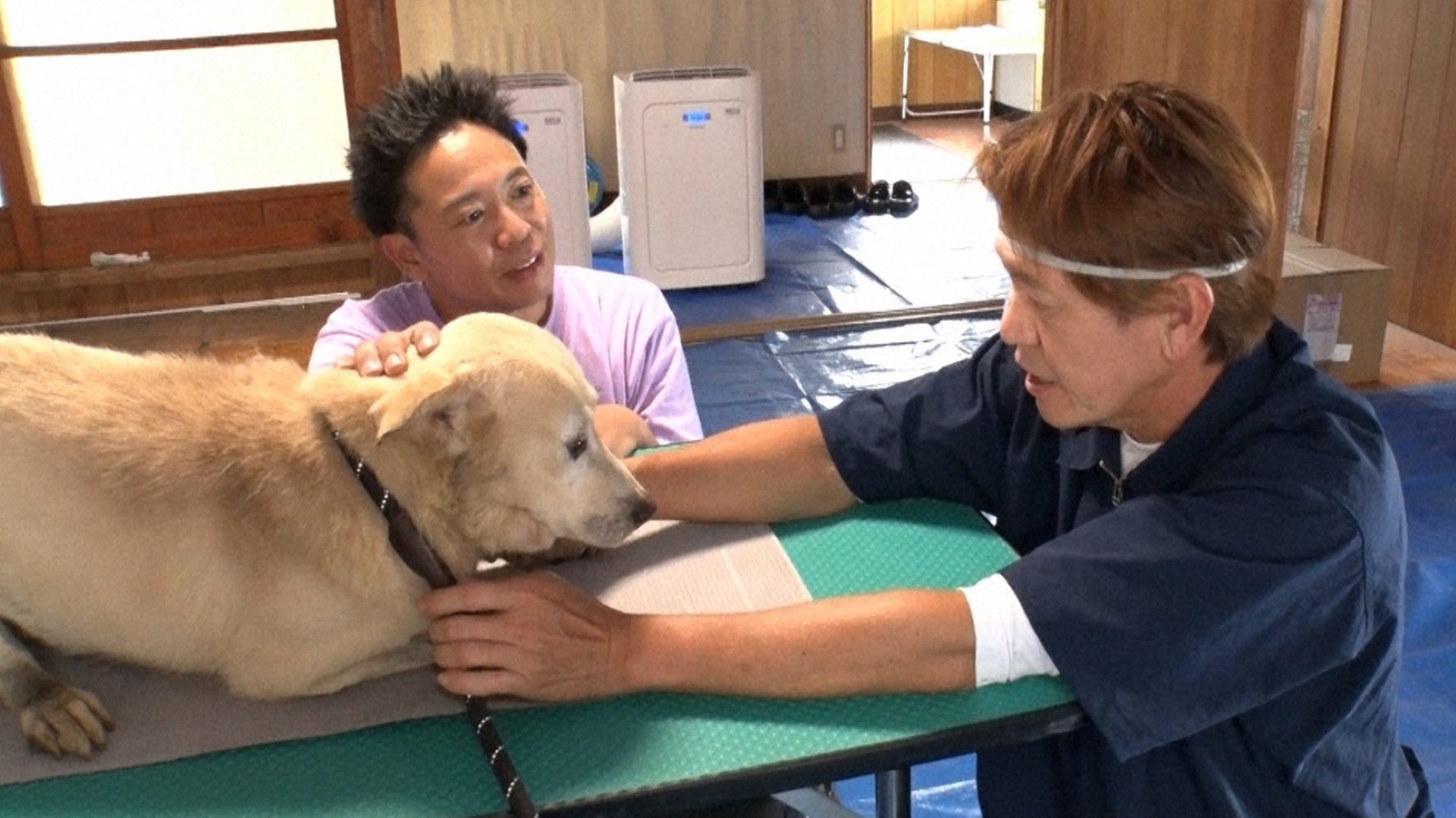 24時間テレビ相葉トリミング完全版! 椎名桔平が初参戦SP