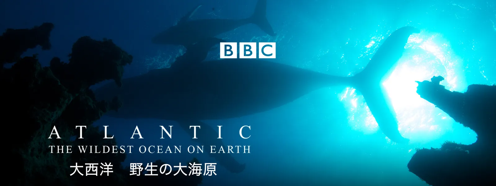 大西洋 野生の大海原 - サムネイル