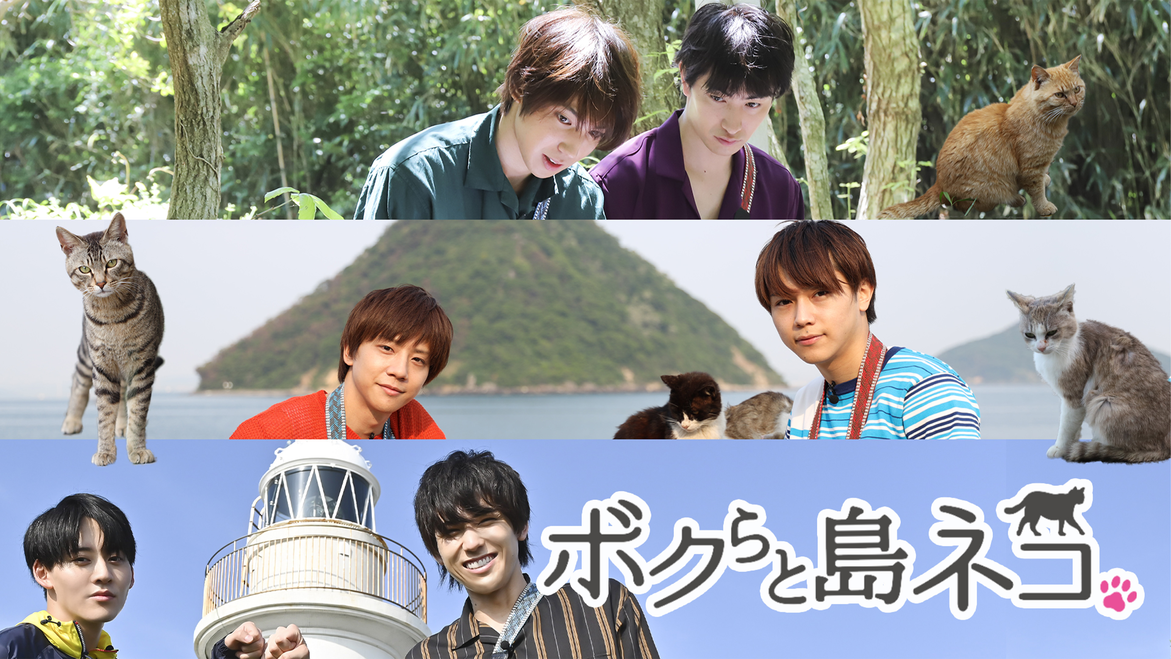 「ボクらと島ネコ。in　城ヶ島　後編」　牧島輝×加藤将 DVD 81wzwbCrEGL.jpg