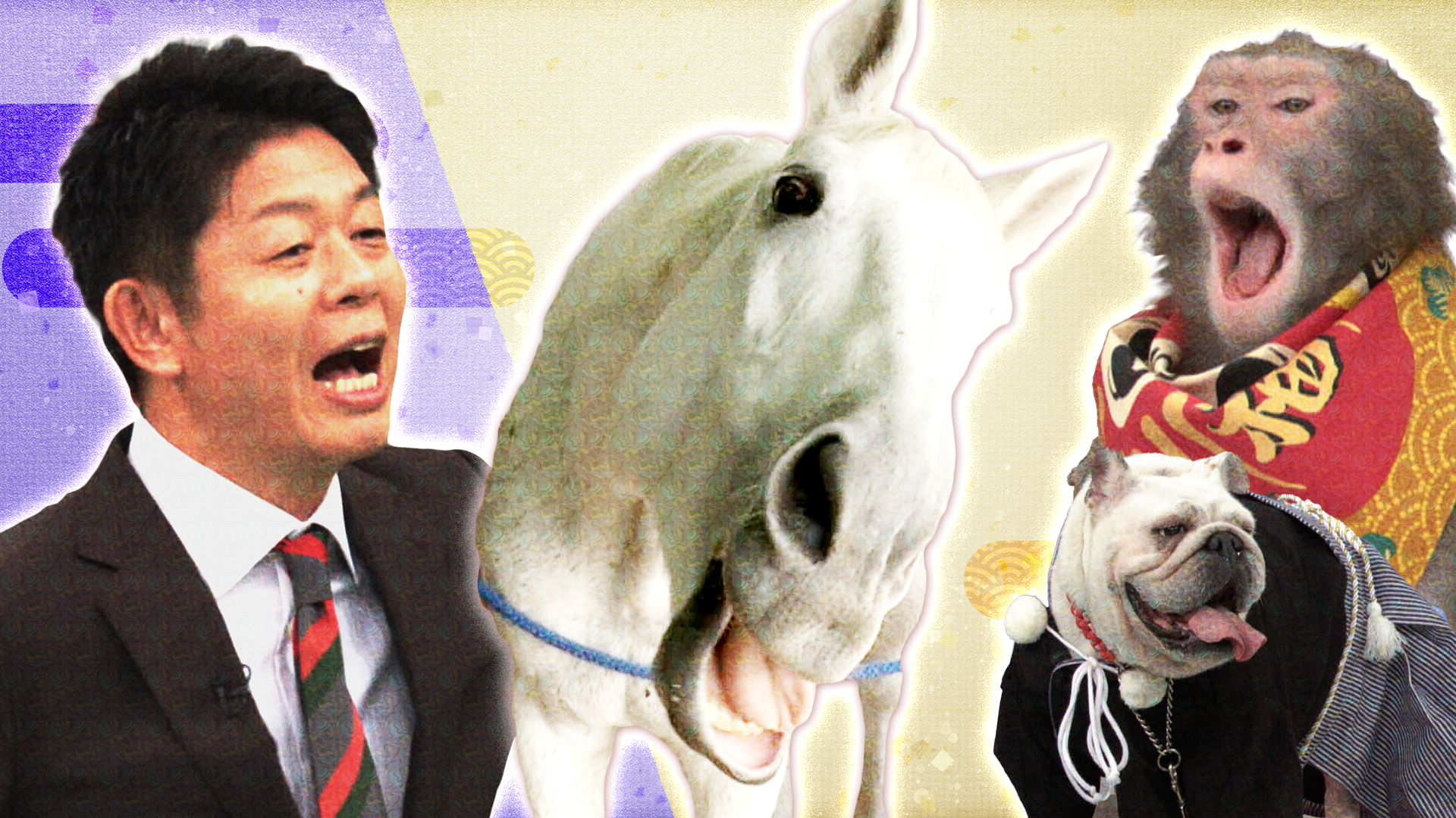 新春SP! 今年の顔大物ゲスト登場&島田秀平の出演者開運ランキング発表で波乱