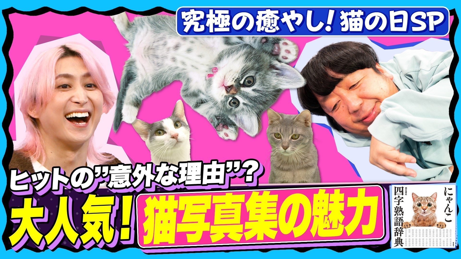【癒やされ神回】猫のかわいい撮り方が丸わかり! 佐久間日村も激写!