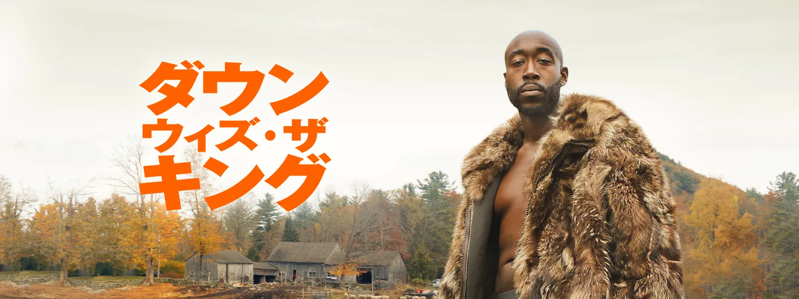 ダウン･ウィズ･ザ･キング Hulu(フールー)