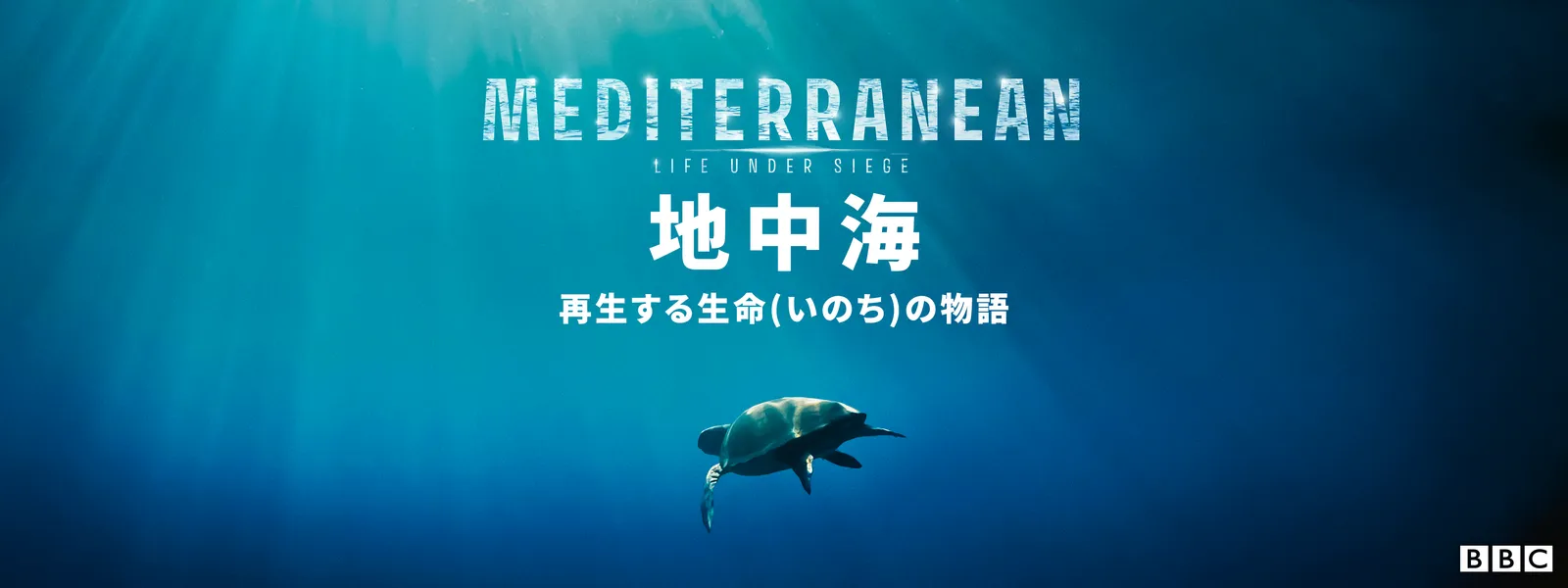 地中海 再生する生命 (いのち) の物語 - サムネイル