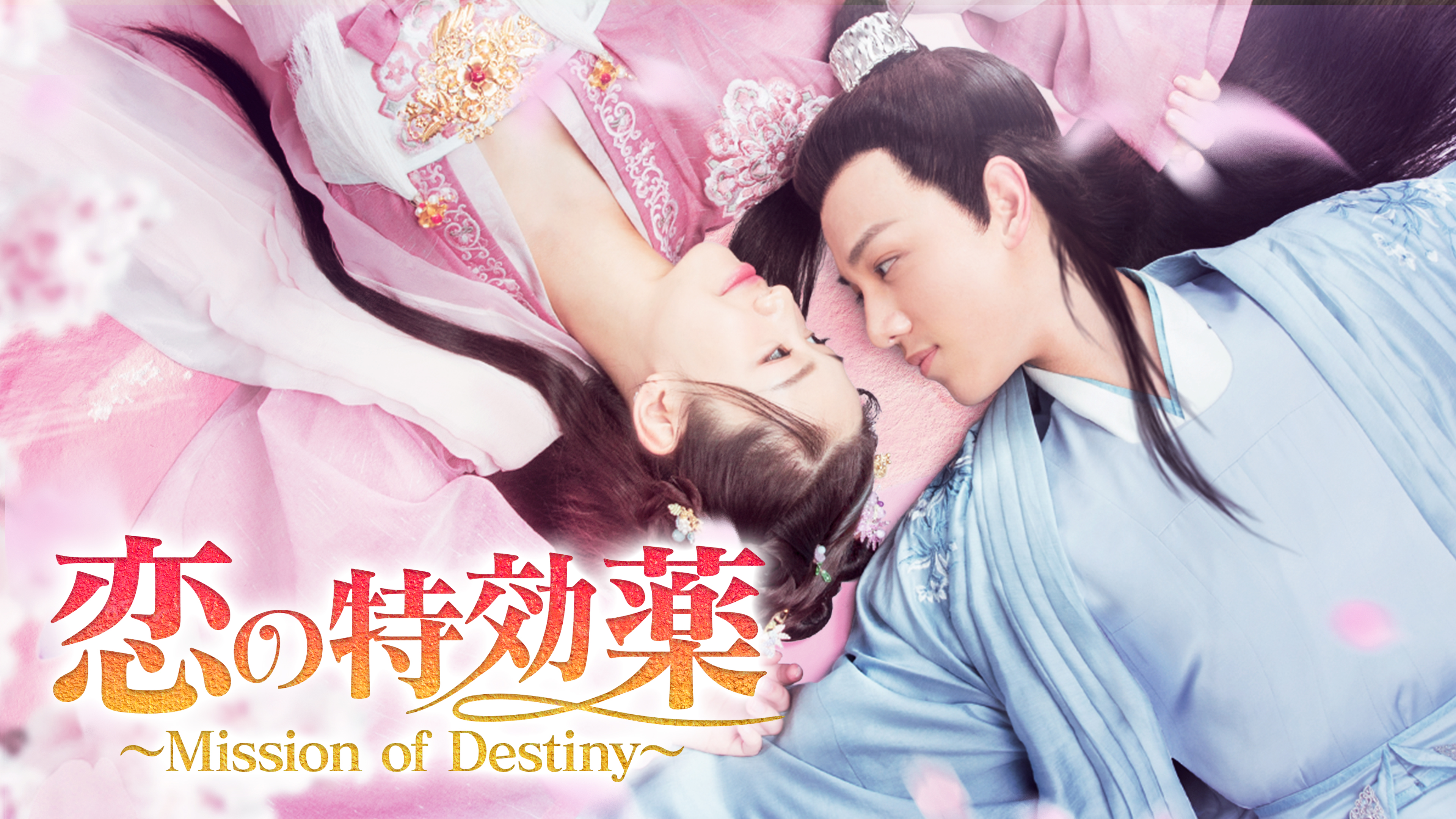 【激安アウトレット!】 恋の特効薬~Mission of BOX DVD- Destiny~ 洋画・外国映画