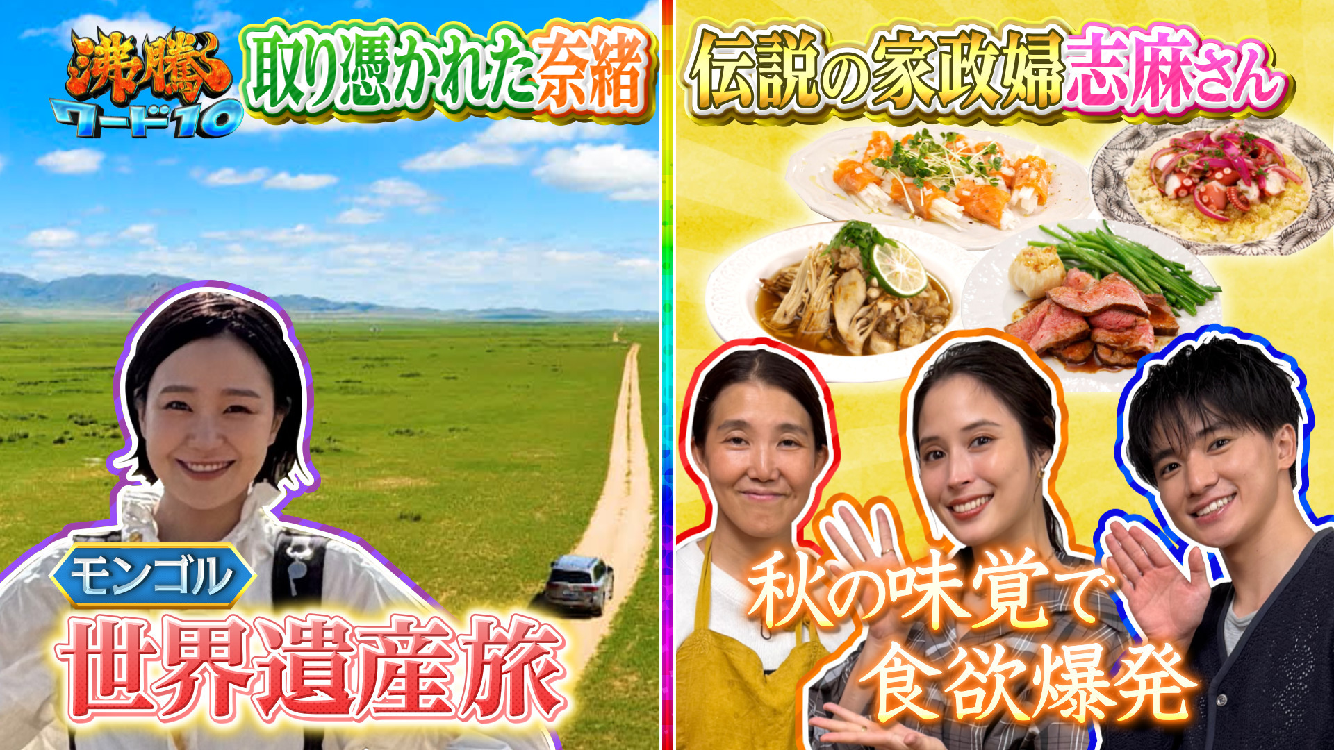 伝説の家政婦志麻さん流チキン南蛮に絶品タルタルに広瀬アリスが感動!! ▼奈緒世界遺産秘境旅