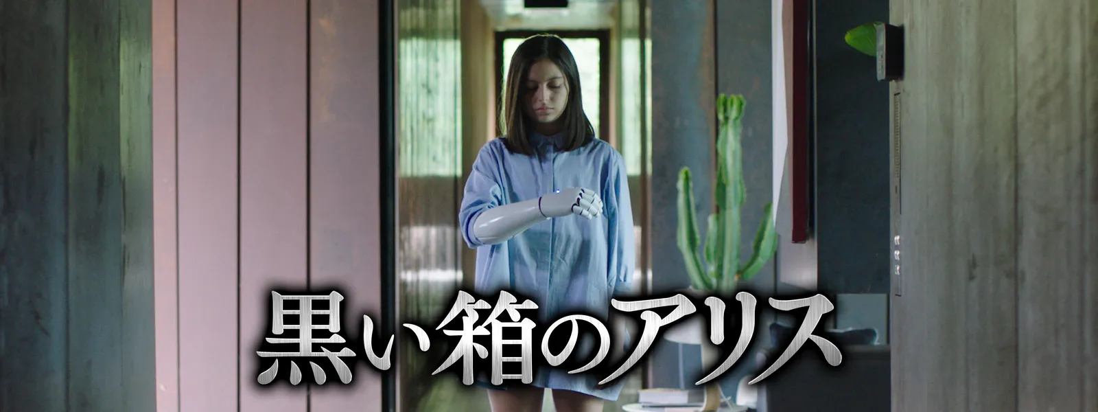 黒い箱のアリス [DVD] mxn26g8 黒い箱のアリス DVD - メルカリ