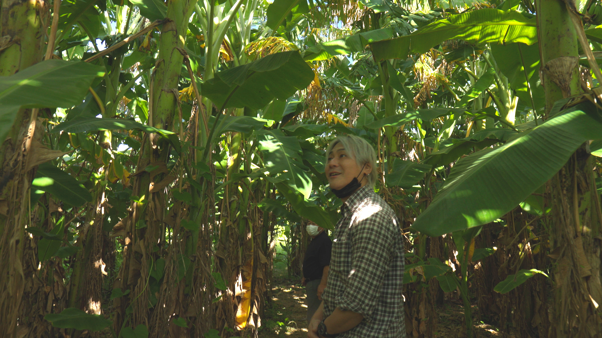 #123 沖縄･島のキャンプ場へ (前編)