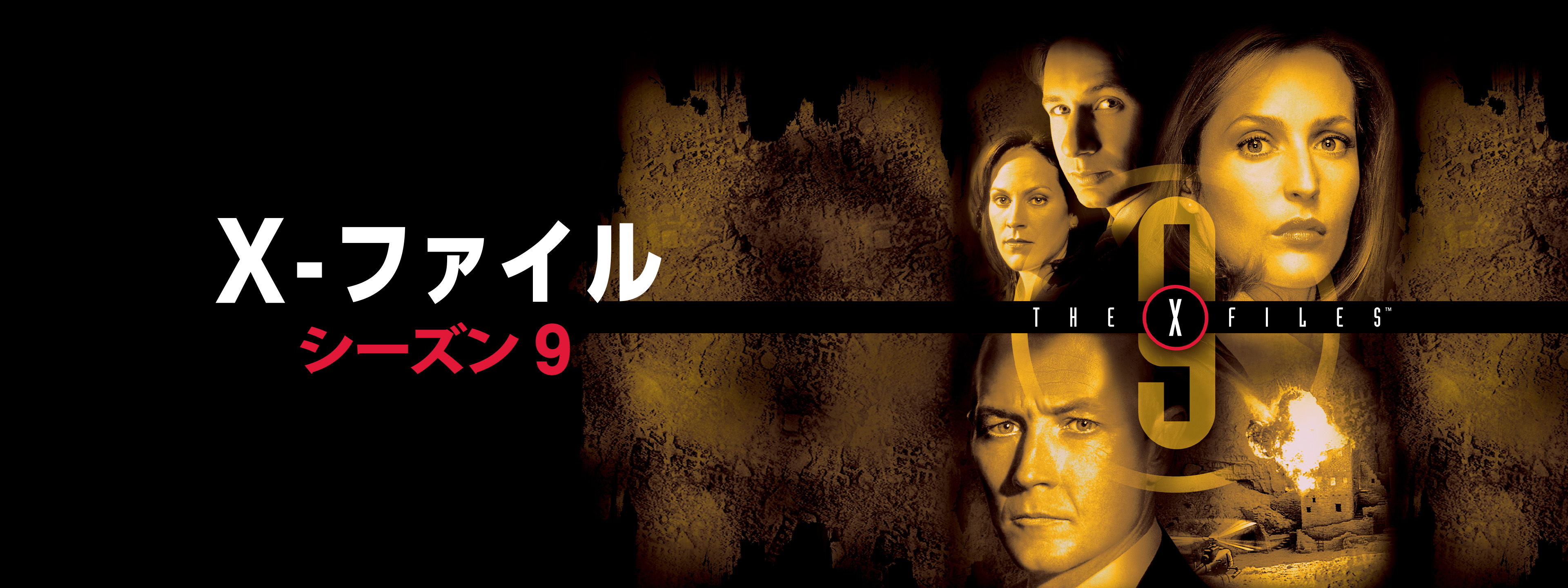 THE X FILES DVD 全49シーズンセット 【公式通販】