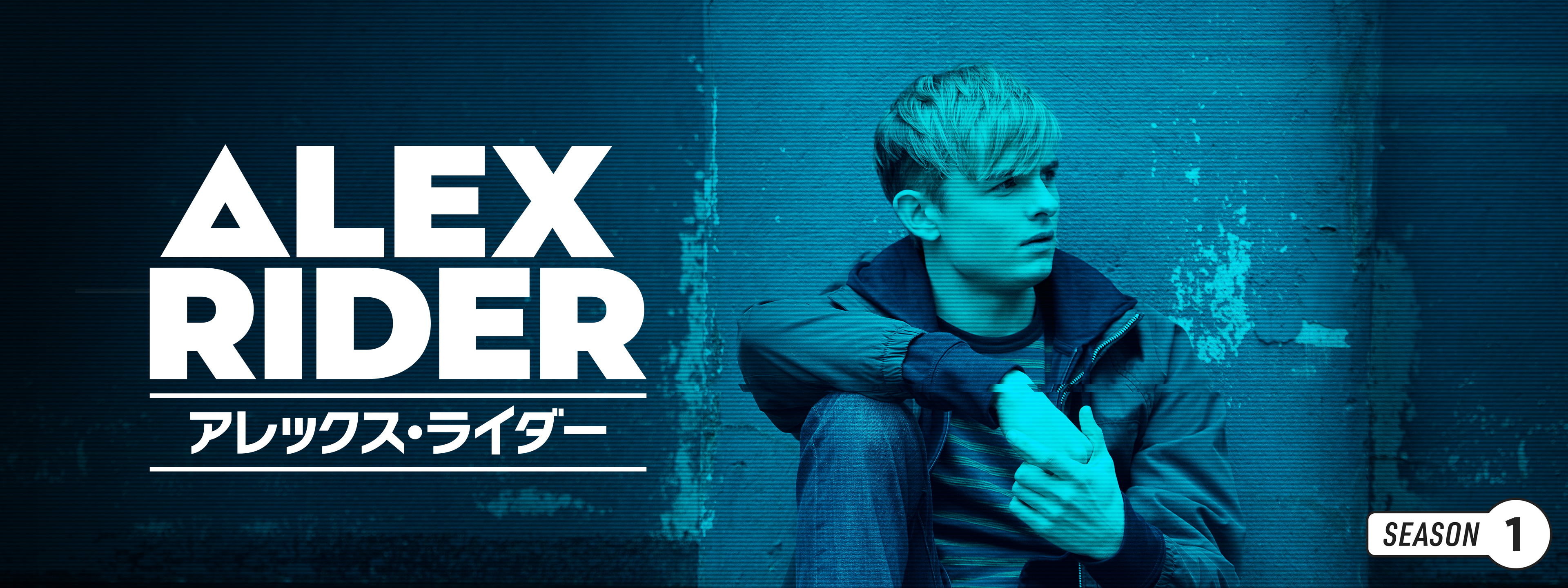 【値下げ】ALEX RIDER 1巻〜11巻　洋書　子供 Amazon | Alex Rider: The Complete Missions 1-11 | Horowitz