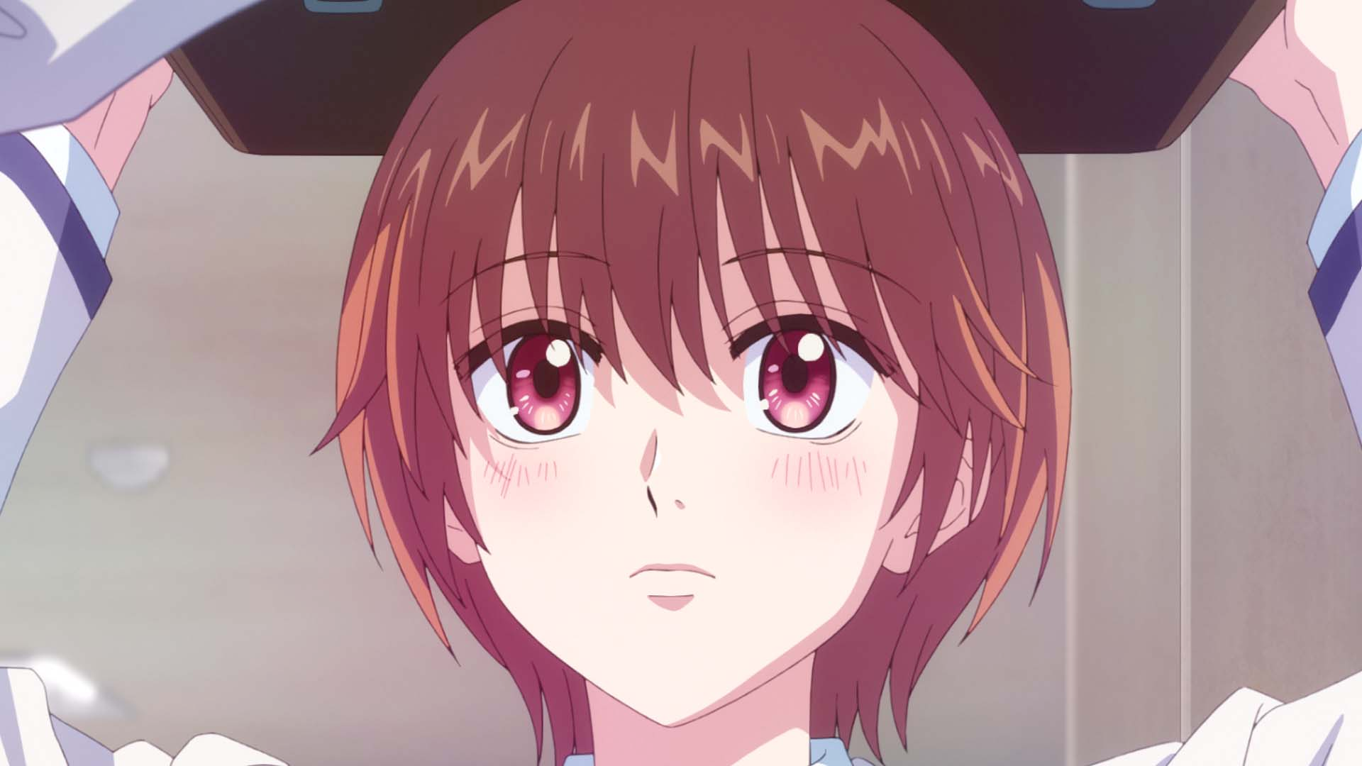 お友達になってください!