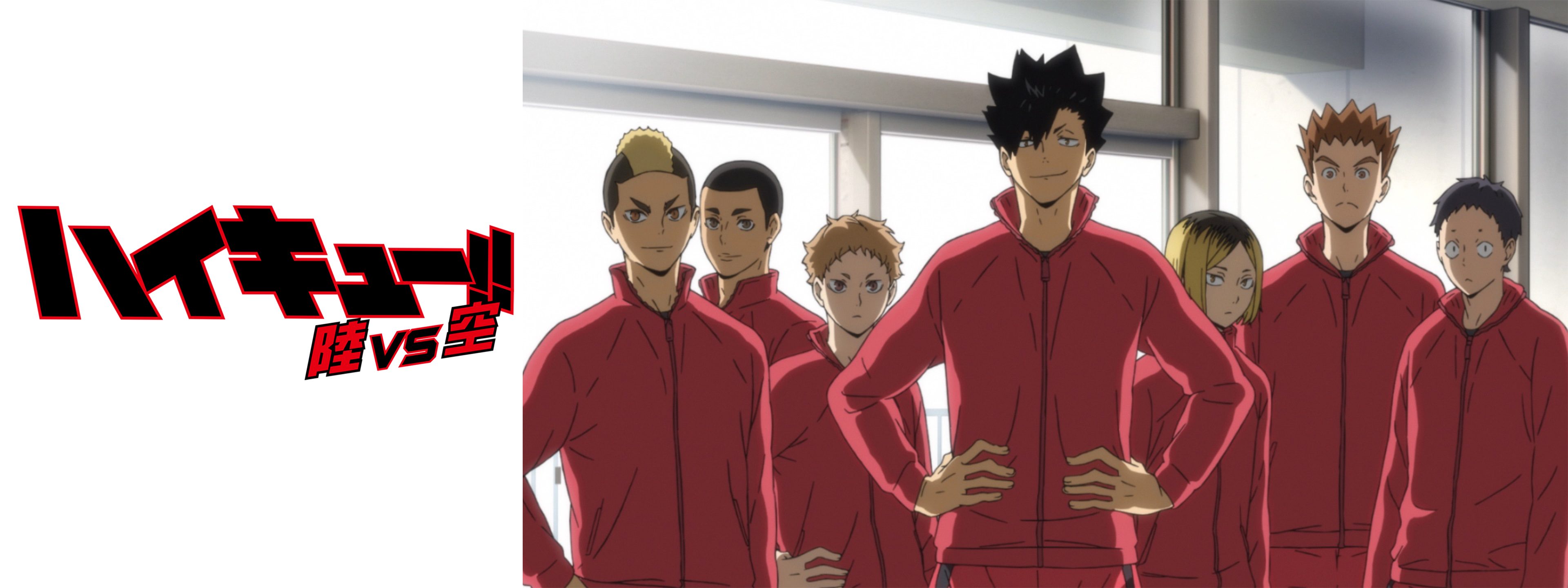 DVD ハイキュー!! 劇場版総集編、OVA 計5巻 DVD 31枚 ハイキュー!!TV DVD ハイキュー!! 劇場版総集編、OVA 計5巻 DVD 31枚 ハイキュー!!TV