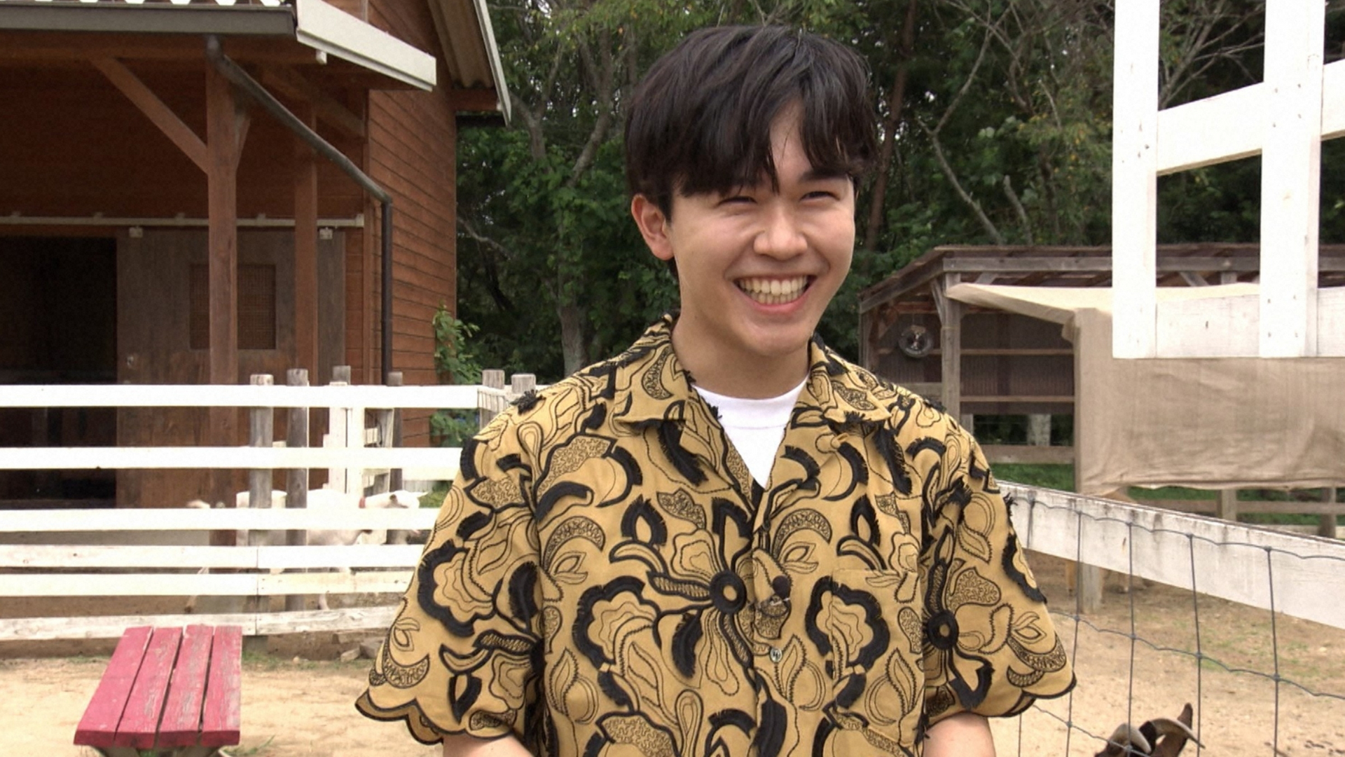 2025年9月23日放送回