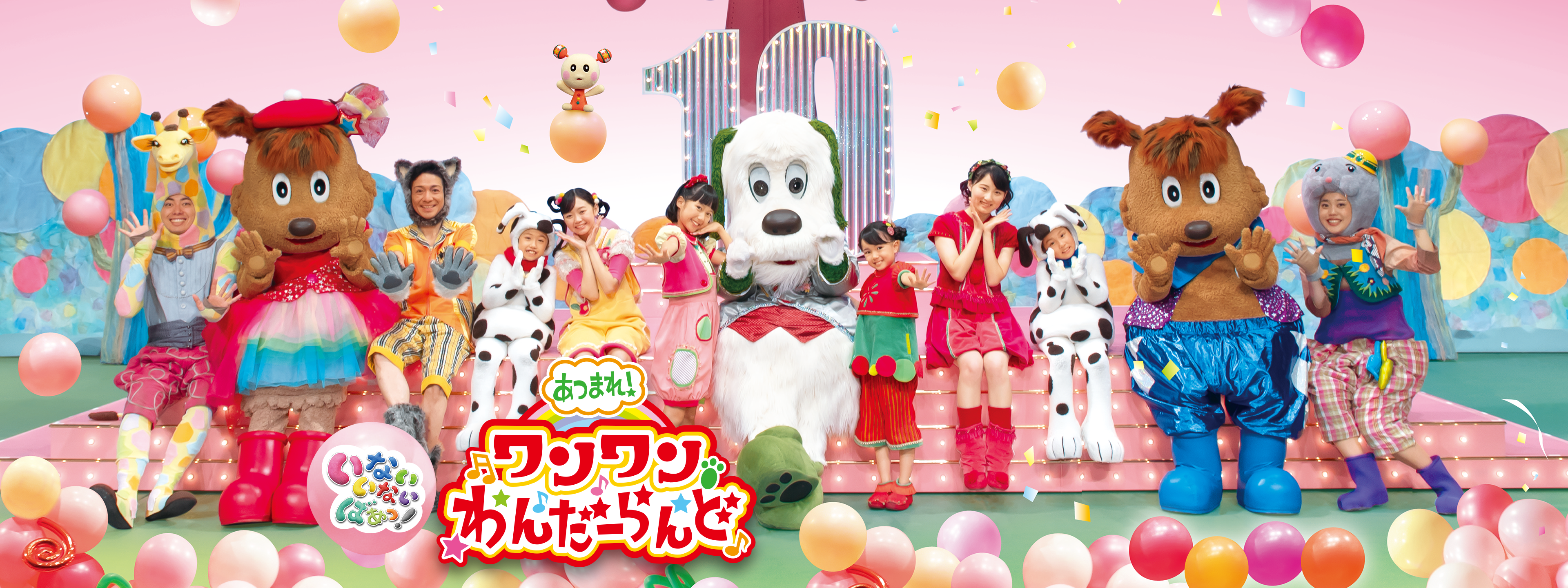 いないいないばあっ! あつまれ! ワンワンわんだーらんど DVD 5本