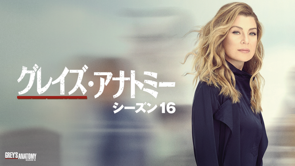 数量限定SALE グレイズ・アナトミー シーズン16 | Hulu(フールー) 洋画・外国映画