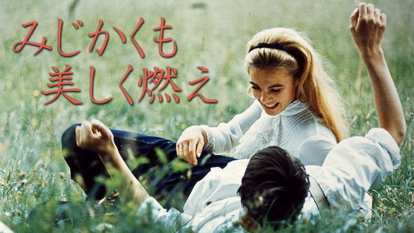 Amazon.co.jp: みじかくも美しく燃え HDリマスター版 [DVD
