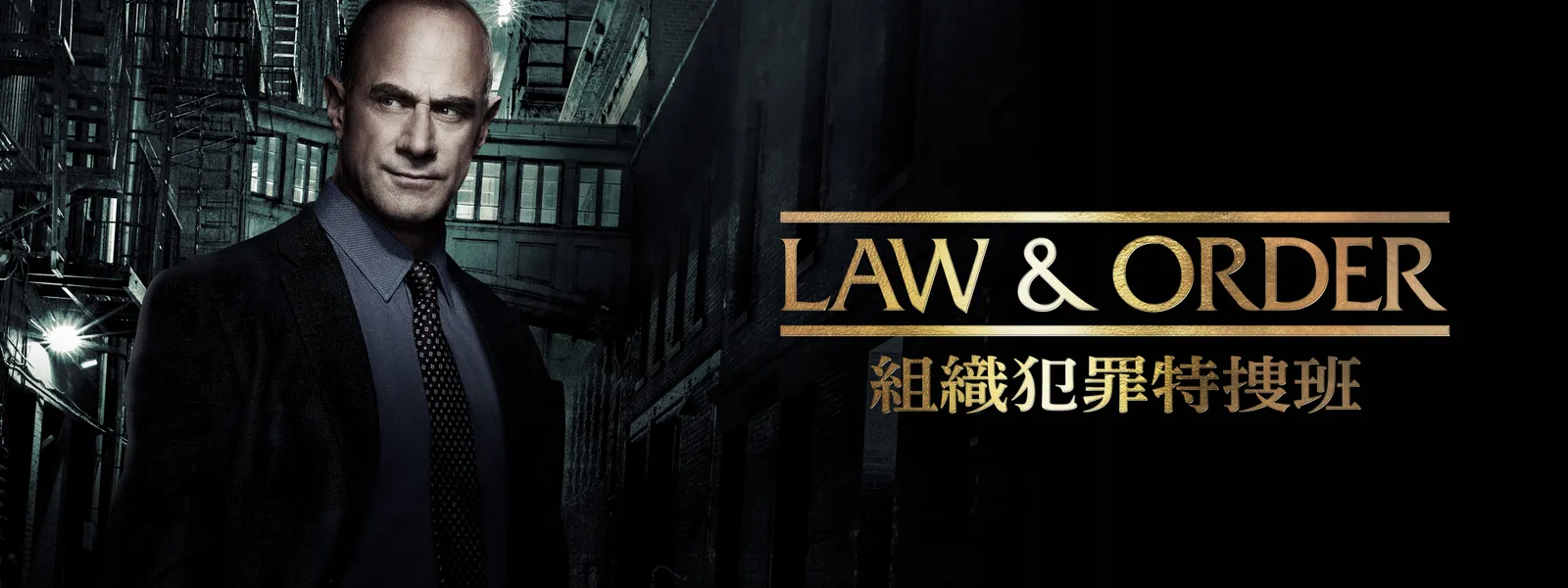 LAW & ORDER：組織犯罪特捜班 - サムネイル