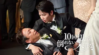 10回切って倒れない木はない
