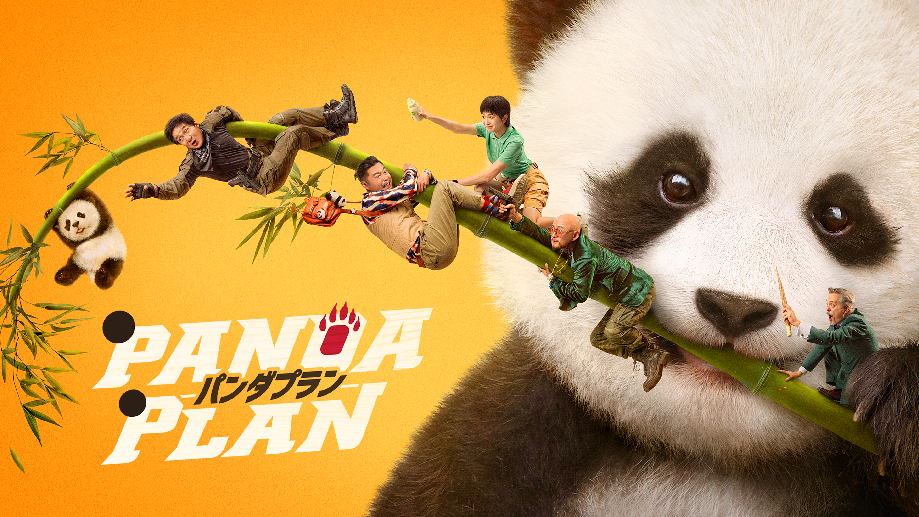 映画｜パンダプランの配信まとめ！動画をフルで無料視聴できるサブスクを紹介