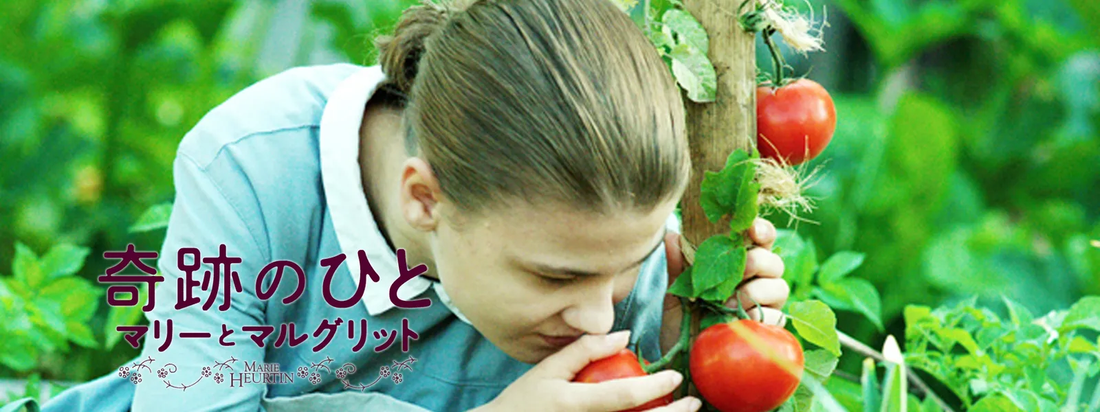 奇跡のひと マリーとマルグリット が見放題 Hulu フールー お試し無料