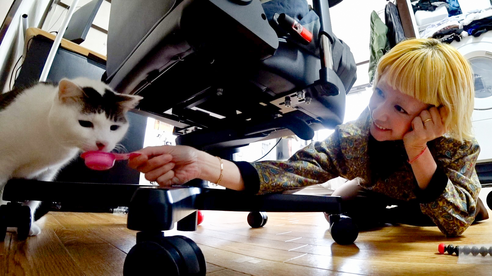 青木マッチョ家に木村カエラ&相葉トリミングに上川隆也参戦