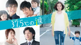 37.5℃の涙