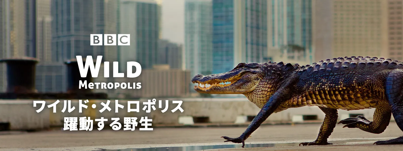 ワイルド･メトロポリス 躍動する野生 - サムネイル