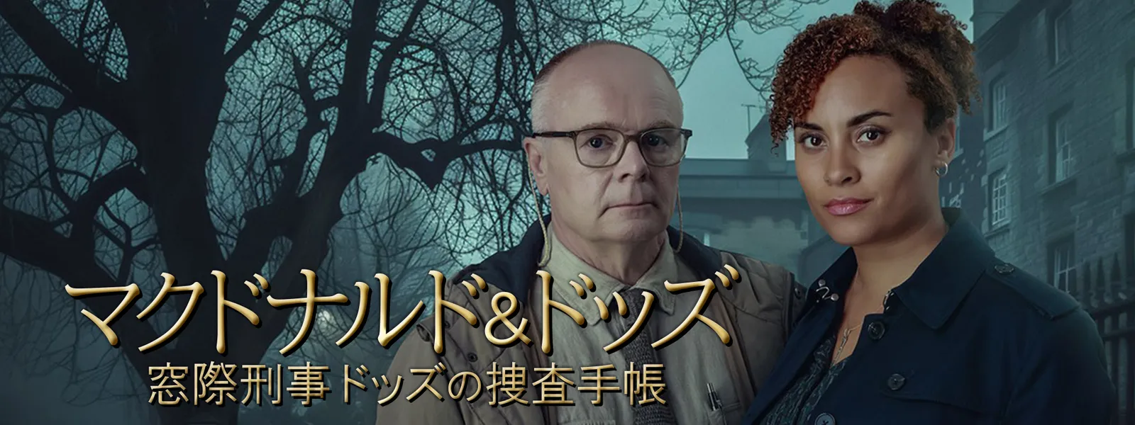 マクドナルド&ドッズ 窓際刑事ドッズの捜査手帳 - サムネイル