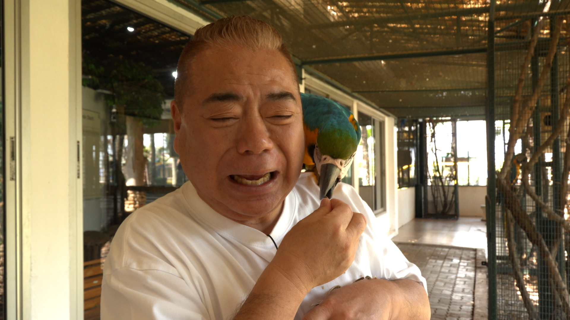 13年ぶり名作復活! オウムに出川名言を喋らせよう&みやぞん水上浮遊