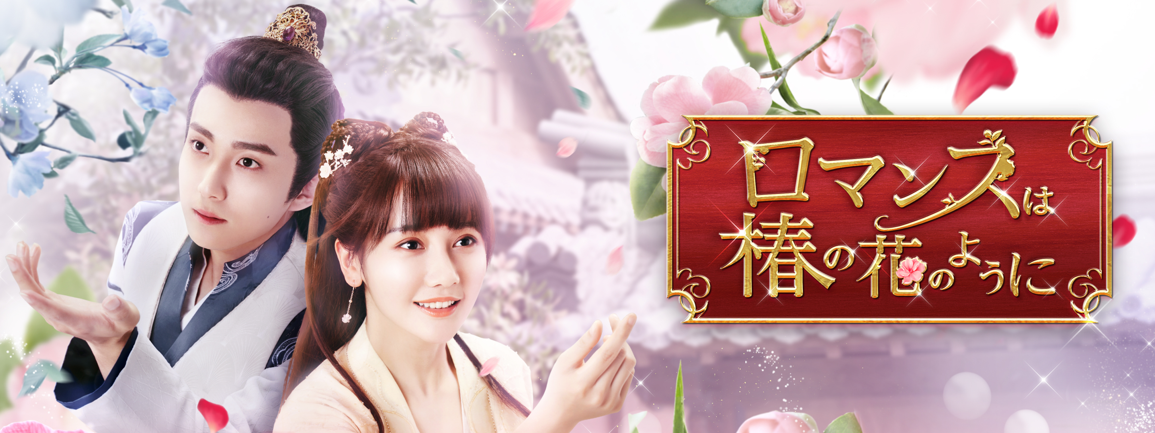 ロマンスは椿の花のように | Hulu(フールー)
