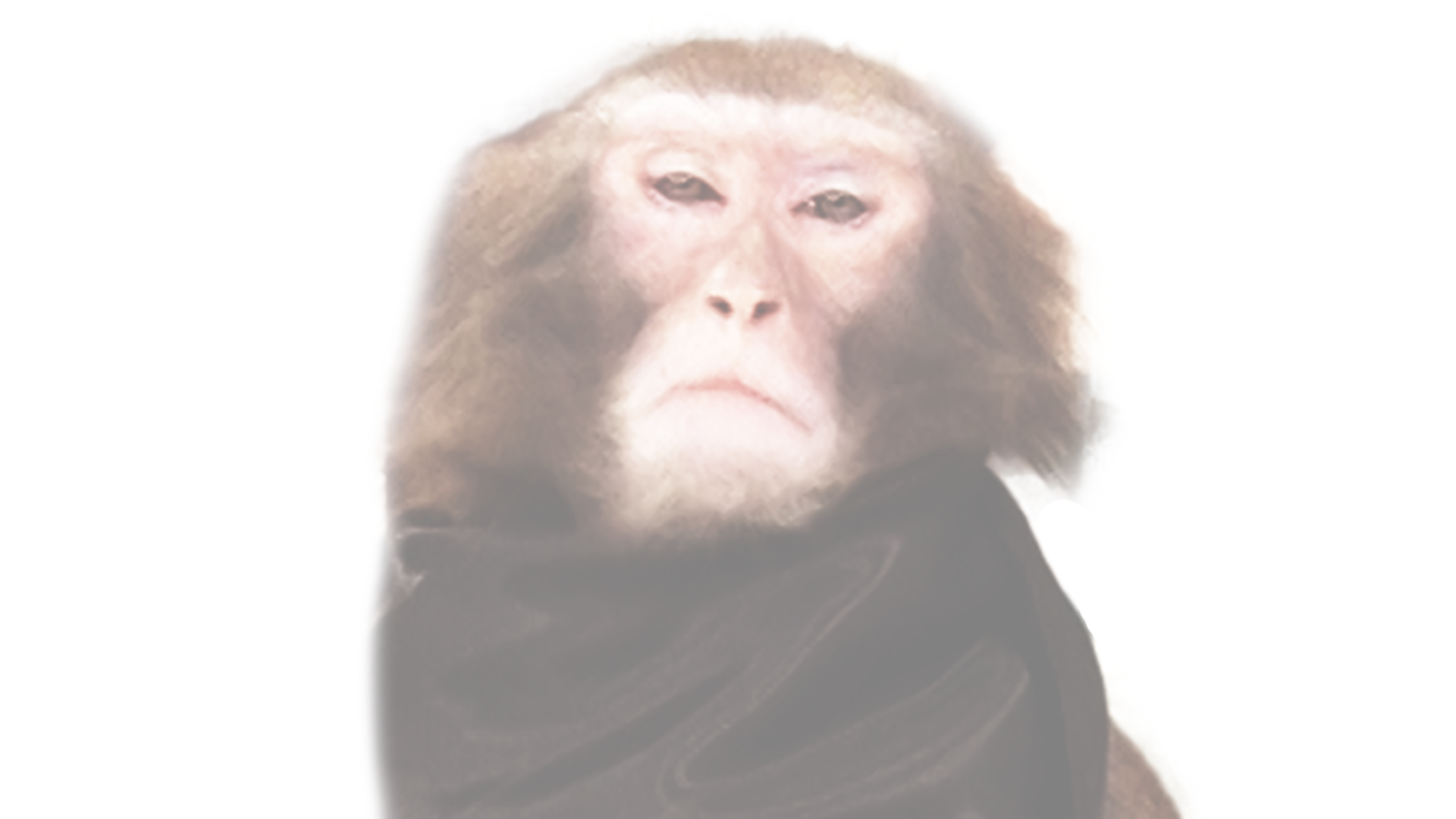 【最終回SP第一夜】なぜ人間研究所は終わるのか?