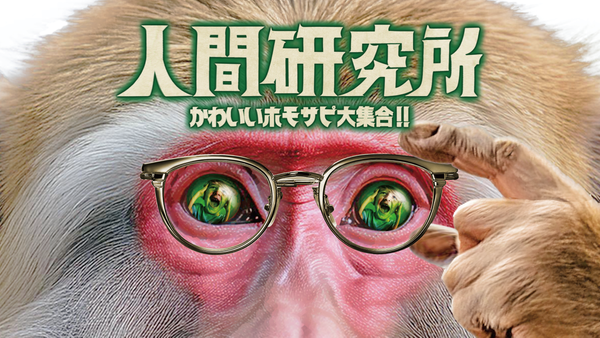人間研究所 ~かわいいホモサピ大集合!!~