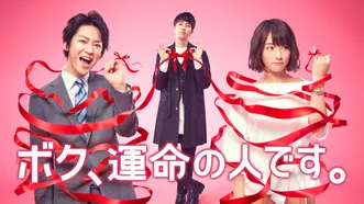 ボク、運命の人です。