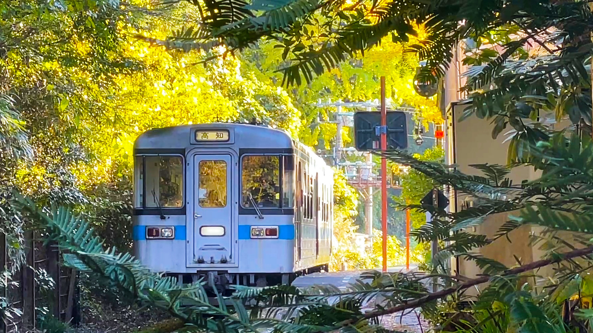 四国･JR土讃線&東北･いわて銀河鉄道2時間SP