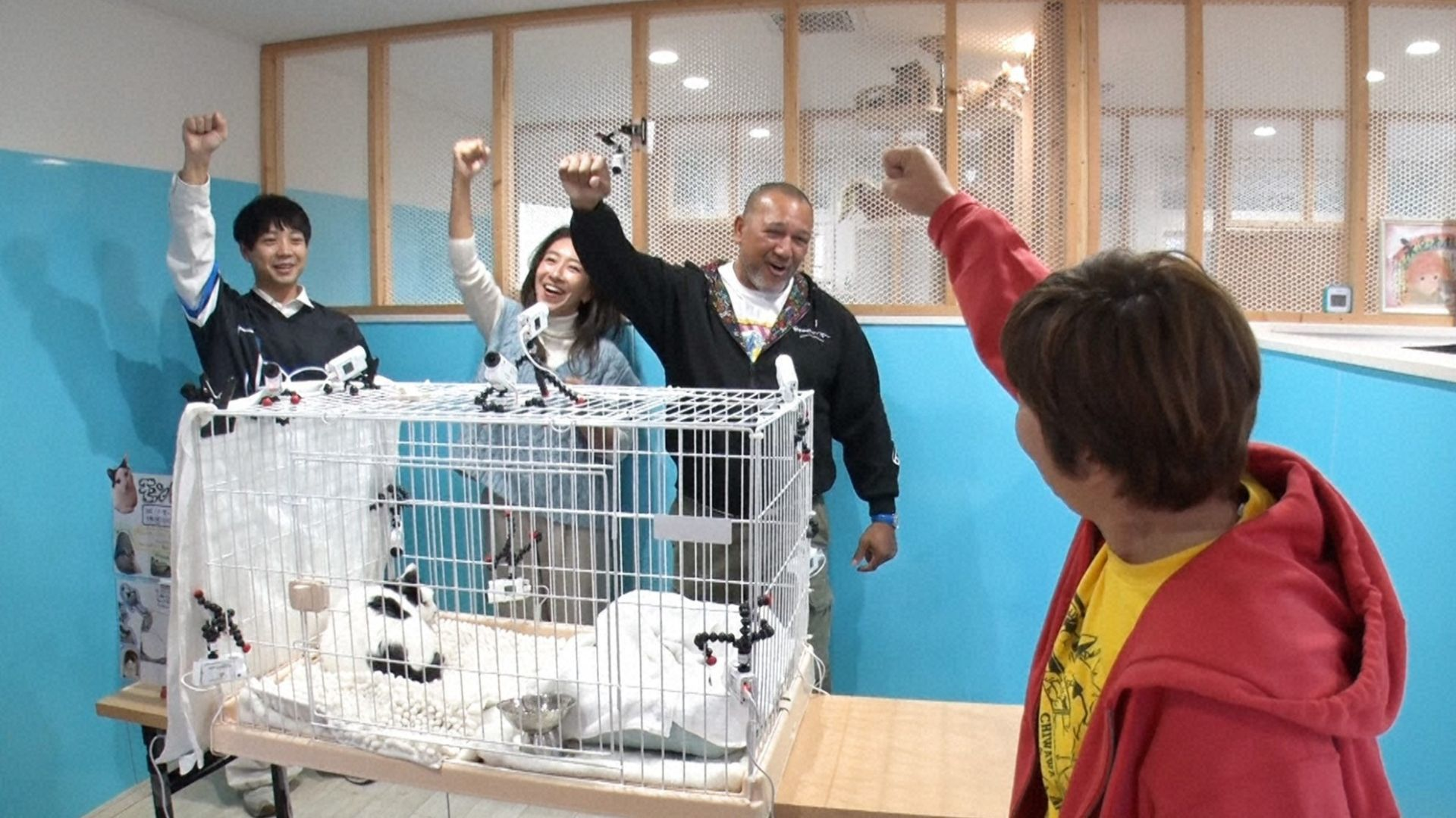 ラミレス家保護猫モンロー譲渡会へ! 超強力助っ人も参戦!