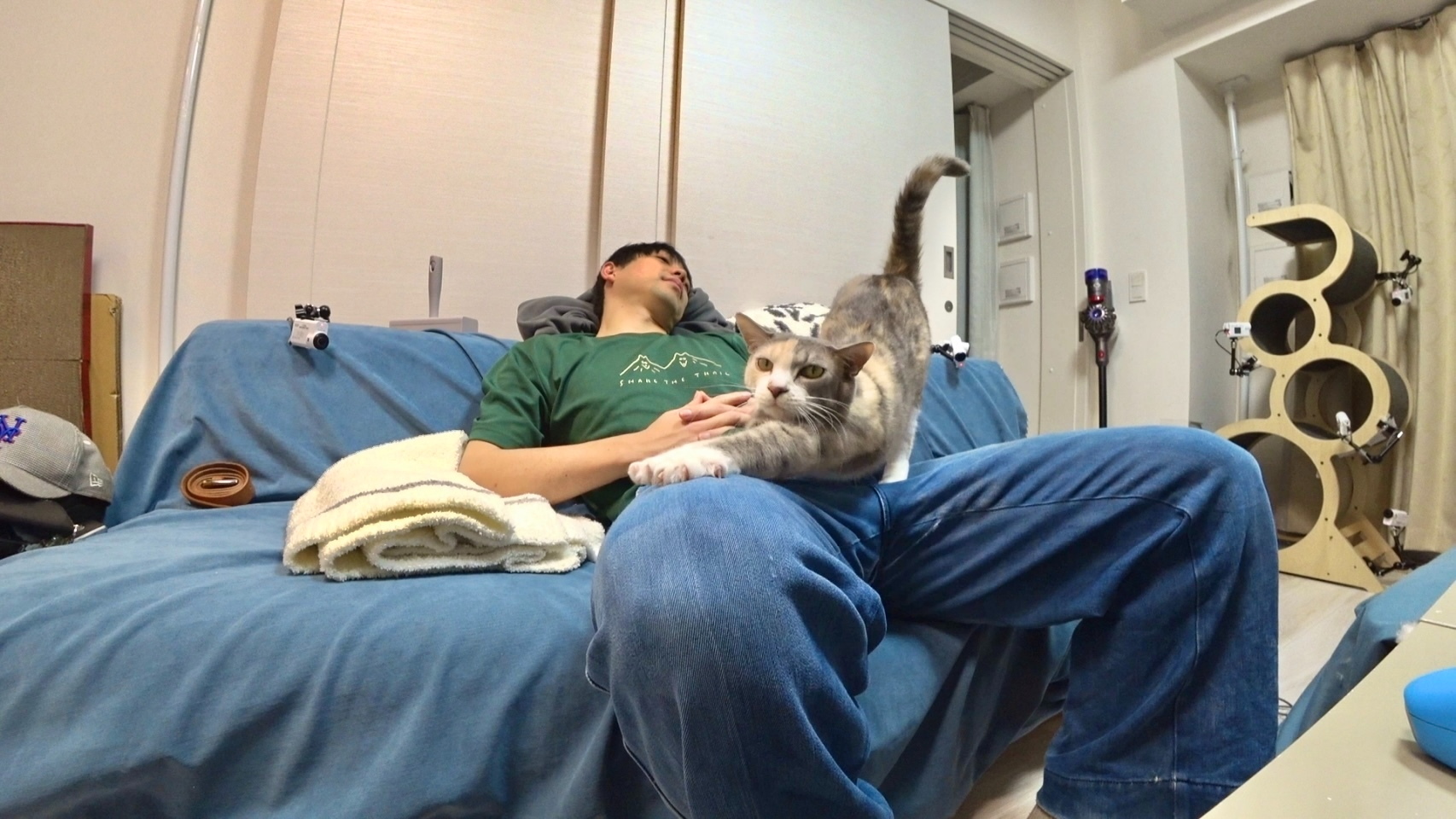 保護猫新シリーズ開始! 池崎一門に超猫好き紅白歌手加入!