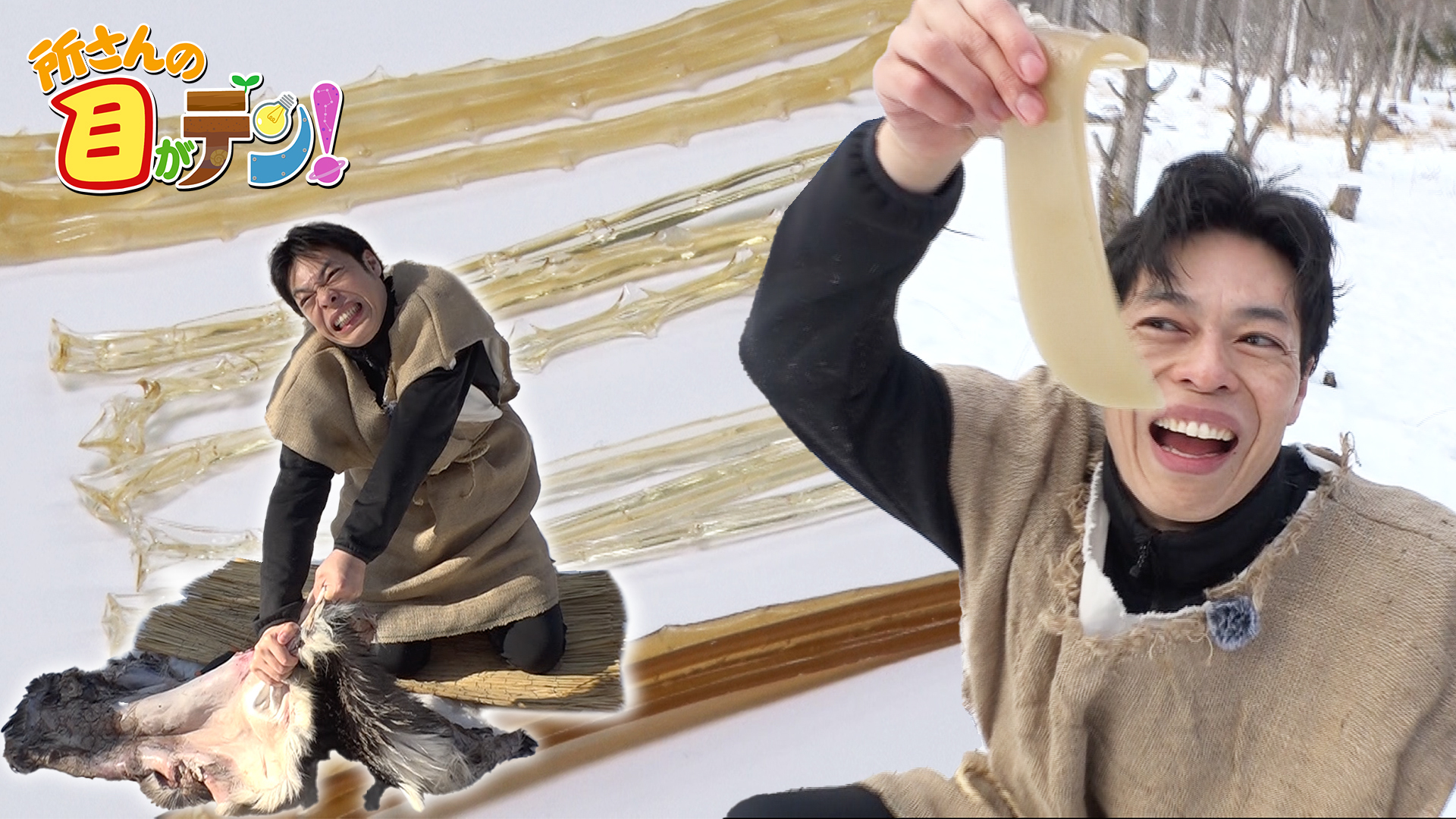 人類はこう作った! 極寒の森で古代の接着剤･ニカワづくりに挑戦