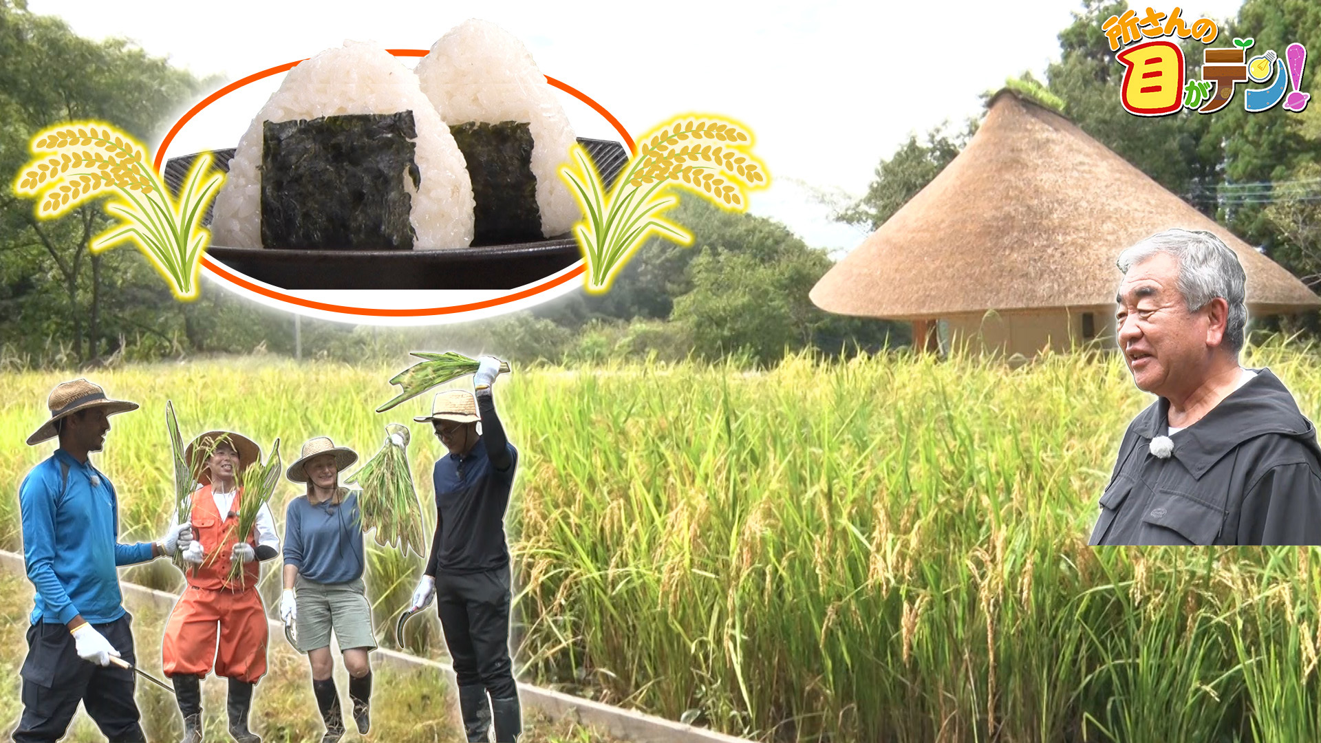 かがくの里秋の収穫祭! 隈研吾さんが国連大学関係者に母屋を解説