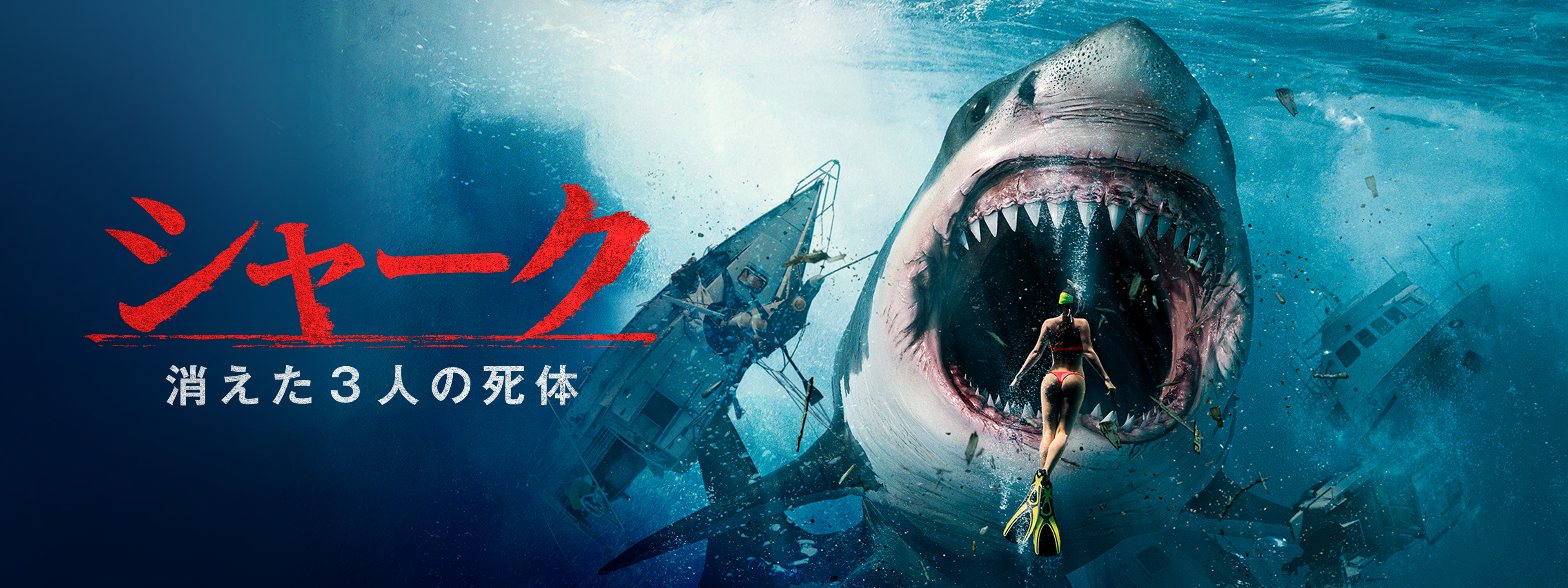 シャーク 消えた3人の死体 | Hulu(フールー)