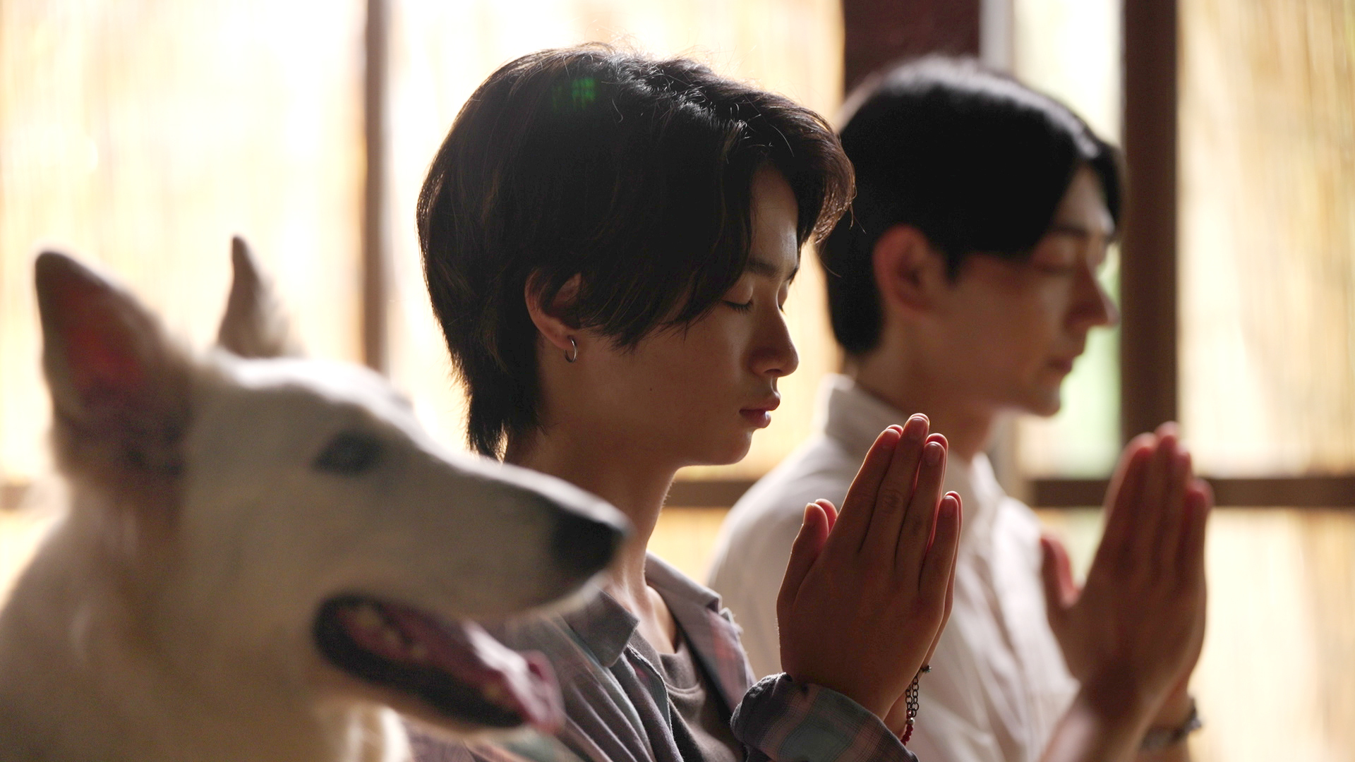 ブルーベリーと車海老