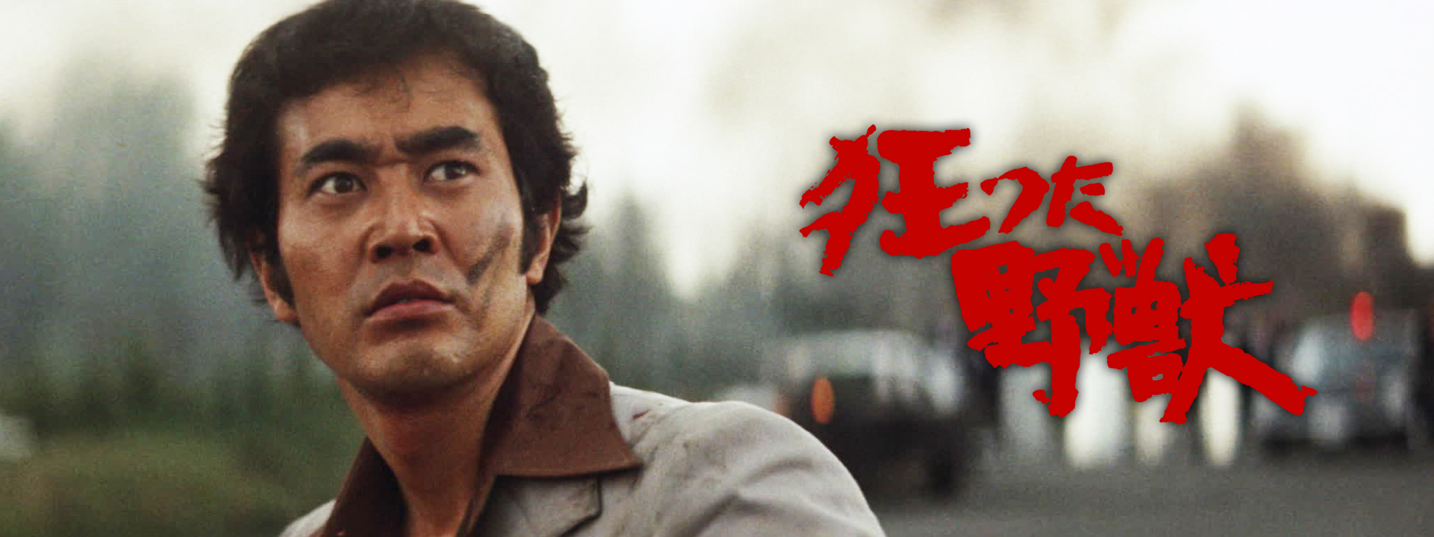 狂った野獣 | Hulu(フールー)