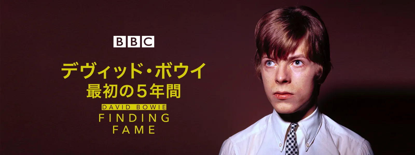デヴィッド･ボウイ 最初の5年間 - サムネイル