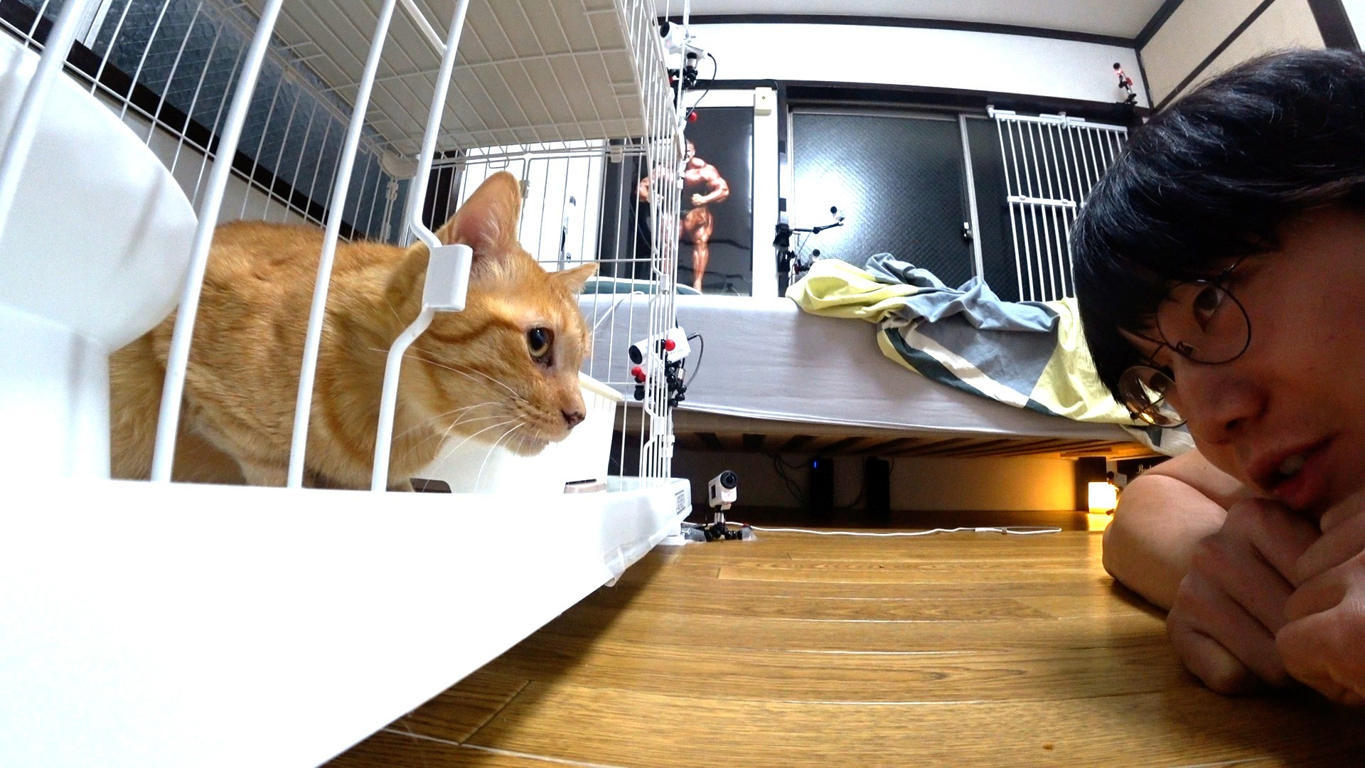 池崎一門に新弟子加入! 猫資格を持つ芸人青木マッチョ!