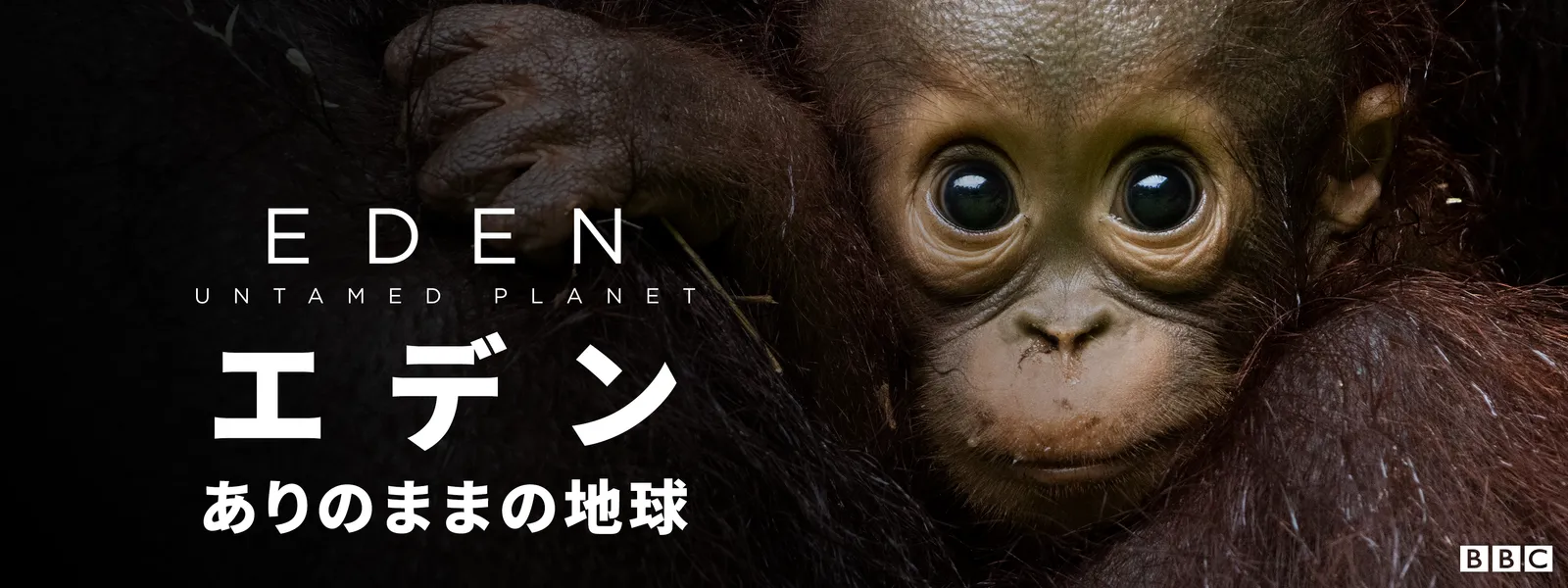 エデン ありのままの地球 - サムネイル
