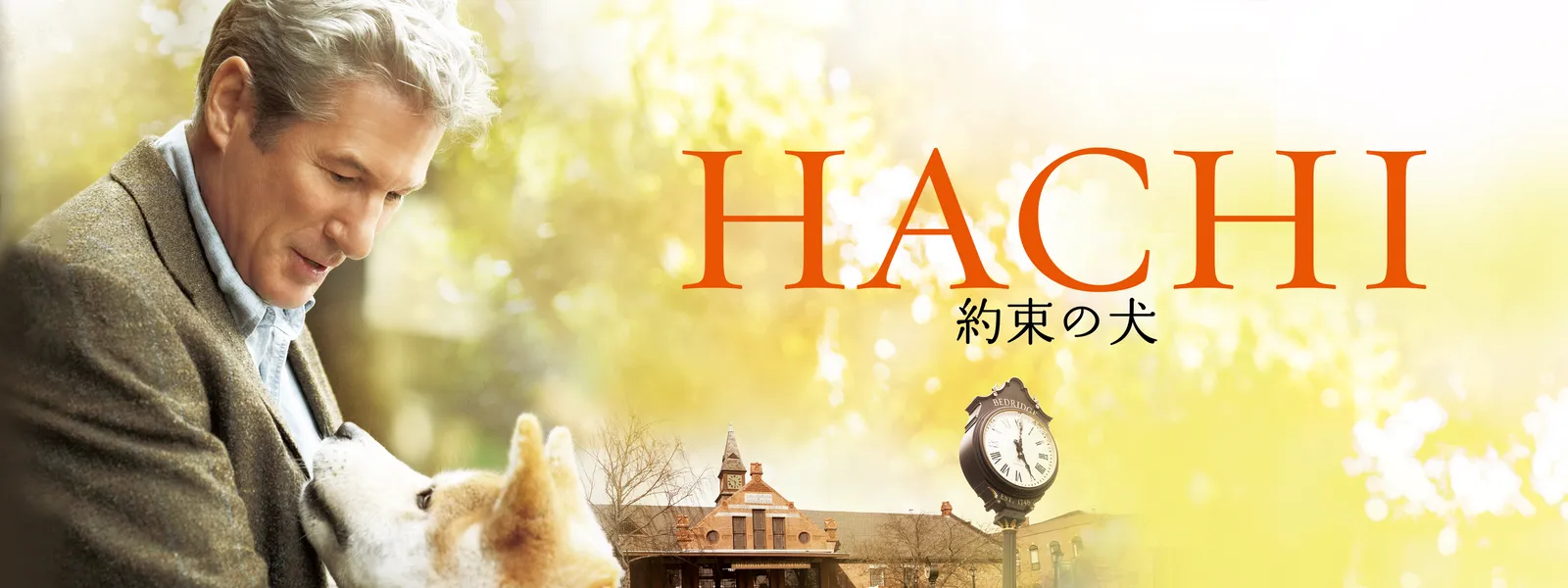 HACHI 約束の犬 | Hulu(フールー)