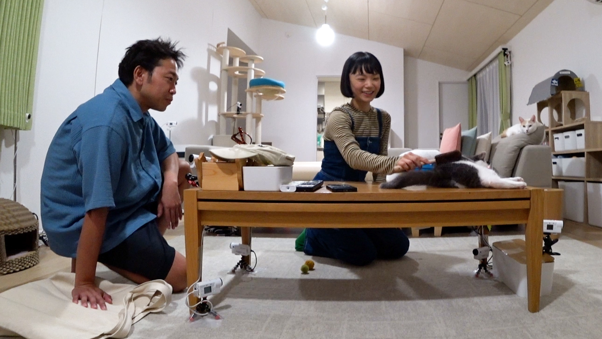 ▼池崎家ブルボンの元に古川琴音が! ▼みりちゃむの激かわ保護猫一家預かり生活