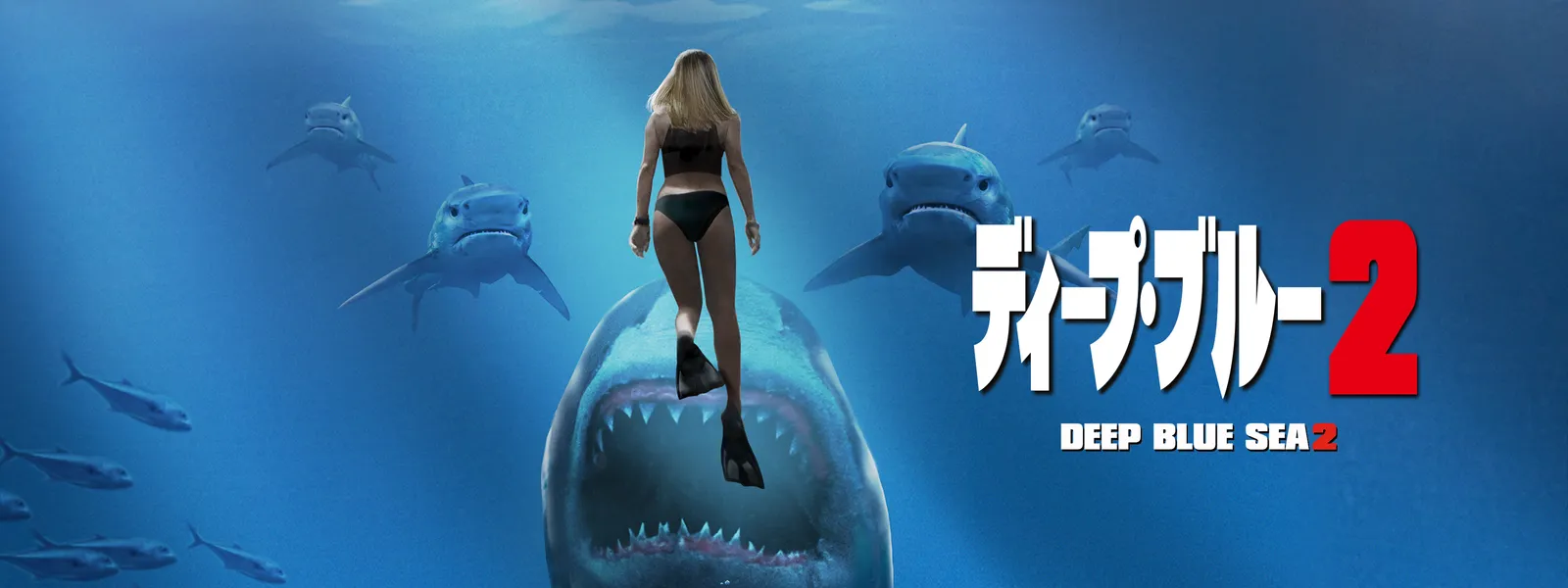 ディープ・ブルー2 | Hulu(フールー), 画像サイズ:1600x600