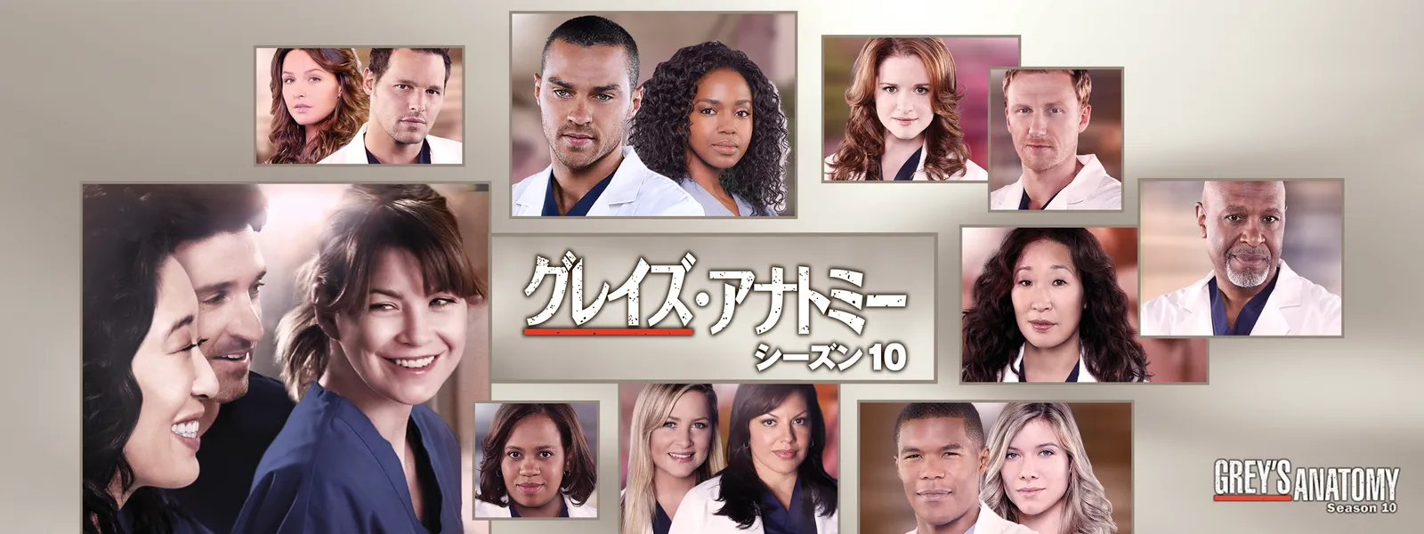 DVD 海外ドラマ グレイズ・アナトミー シーズン10-16 全巻 レンタル落ち Amazon.co.jp: グレイズ・アナトミー シーズン10 [レンタル落ち